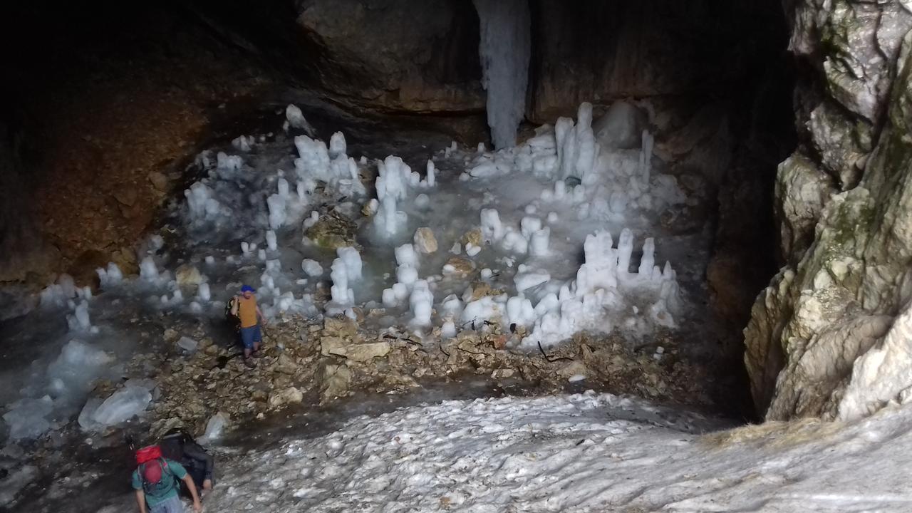 Guesthouse Ukus Durmitora Žabljak Eksteriør billede